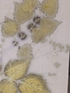 Eco printen 3, Stichting Paraplu de Ronde Venen, Ida Veenstra
