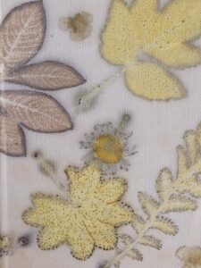 Eco printen 4, Stichting Paraplu de Ronde Venen, Ida Veenstra