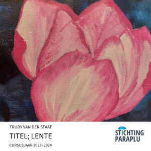 Stcchting Paraplu de Ronde Venen, cursus schilderen met acrylverf, Rtudy van der Staat